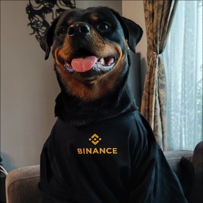 Binance Dog